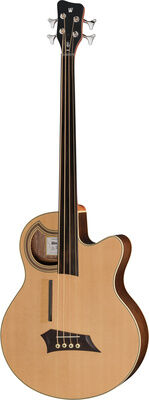 Warwick Alien Deluxe Hybrid 4 FL NT Natural Transparent Satin