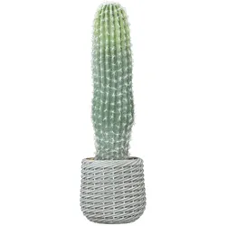 HOMCOM künstlicher Kaktus im Topf tropische Dekopflanze für Zuhause und Büro 66 cm/grün