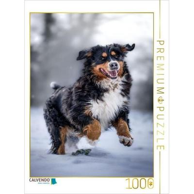 CALVENDO Puzzle Berner Sennehund tobt im Schnee | 1000 Teile Lege-Größe 64x48cm Foto-Puzzle für glückliche Stunden