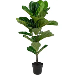 House Nordic Künstlicher Geigenblattbaum, Grünpflanze, Ø 46 cm, Höhe 100 cm