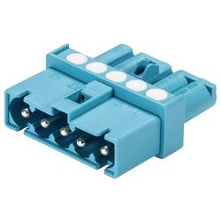 Wieland Electric 91.050.6053.0 Verteiler