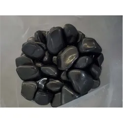 Aquagart 40kg Polierter Kiesel Glanzkies Flusskiesel Kieselsteine Gartenkies Zierkies *