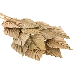 Palmenblätter, 30–60 cm, 20 Stück
