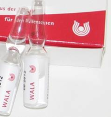 WALA Heilmittel GmbH BELLADONNA E FRUCTIBUS Augentropfen 5X0.5 ml 01447890