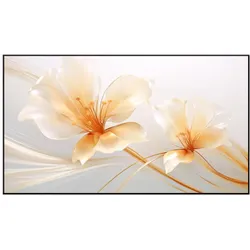 Xgimi UST ALR Screen (100", 16:9), Leinwand, Weiss, Schwarz