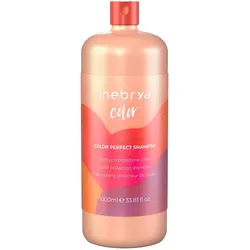 1L Inebrya Color Color Perfect Shampoo