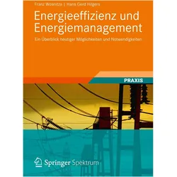 Energieeffizienz und Energiemanagement, Fachbücher von Hans Gerd Hilgers, Franz Wosnitza