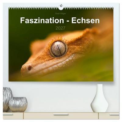 Faszination - Echsen (hochwertiger Premium Wandkalender 2027 DIN A2 quer), Kunstdruck in Hochglanz