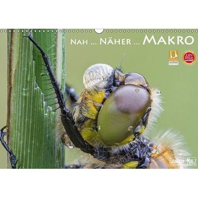 Nah ... Näher ... MAKRO (Wandkalender immerwährend DIN A3 quer)