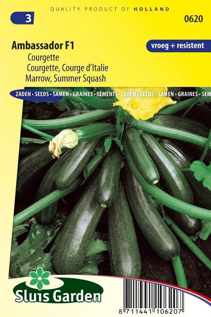 Sluis Garden Courgette zaden Ambassador F1