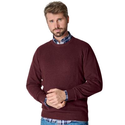 Strickpullover CASAMODA "CASAMODA Pullover uni", Herren, Gr. XXL, rot (bordeauxrot), 100% Baumwolle, Pullover Strickpullover