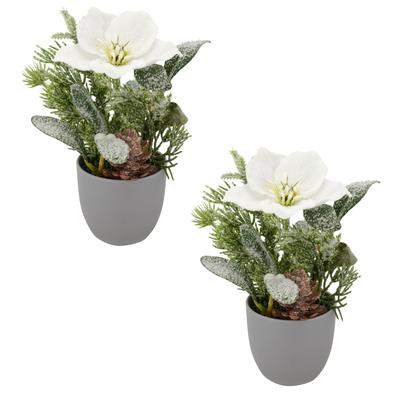 Winterliche Kunstpflanze CREATIV GREEN "Arrangement mit Christrose", grün (weiß), H:23cm, Kunststoff, Kunstpflanzen, mit üppiger Blütenpracht