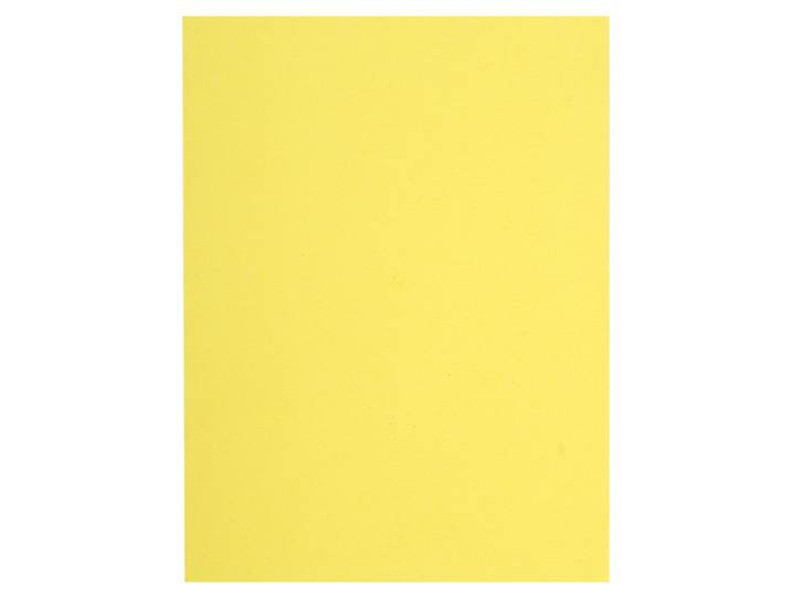 EXACOMPTA Paquet de 100 chemises FLASH 220 100% recyclé - 24x32cm - Canari