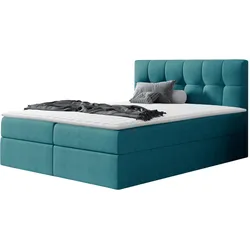 BOXBETT Rico - H3