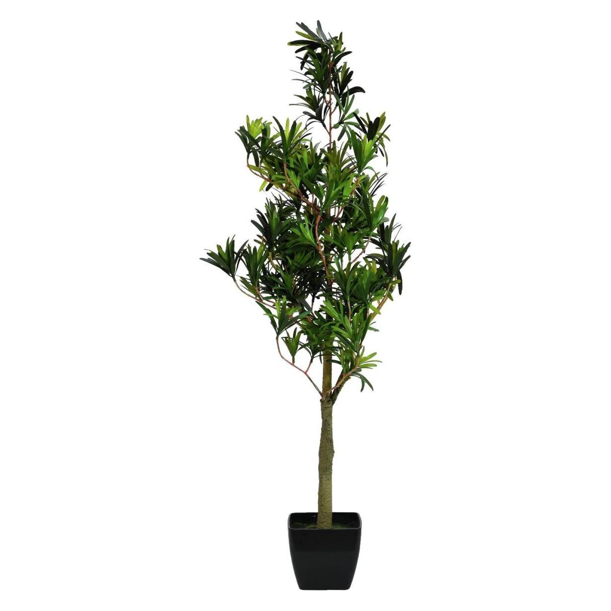 Europalms Steineibe, Kunstpflanze, 90cm (90 cm) (82511520)