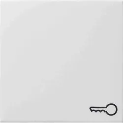 Gira System 55 einteilige Wippe, Schalter/Taster, reinweiß, glänzend, Symbol Schlüssel/Tür, 028703