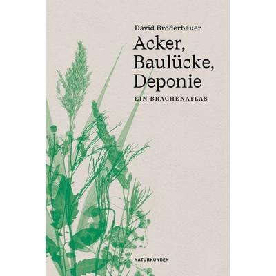 Acker, Baulücke, Deponie, Gebundene Ausgabe von David Bröderbauer, Matthes & Seitz, 978-3-7518-4042-2