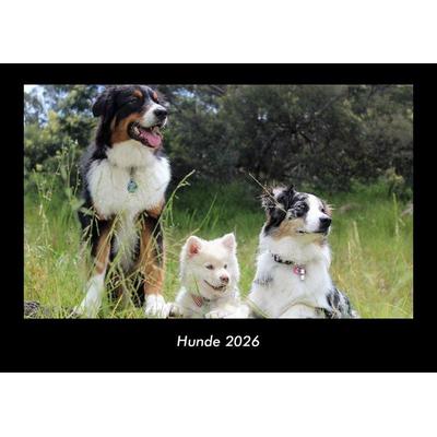 Hunde 2026 Fotokalender DIN A3