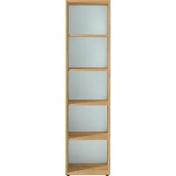 Germania Aktenregal Monteria Holzoptik Braun Eiche
