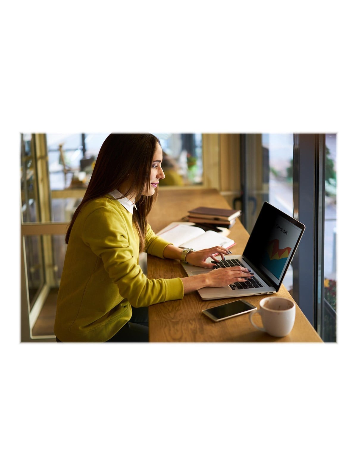 3M - notebook privacy filter