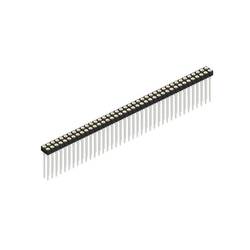 Fischer Elektronik Buchsenleiste (Präzision) Anzahl Reihen: 2 10041677 10 St.