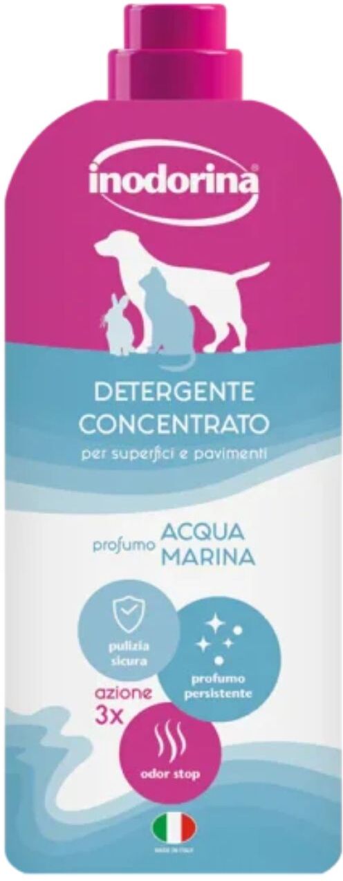 Inodorina Detergente per Pavimenti Acqua Marina 1 lt