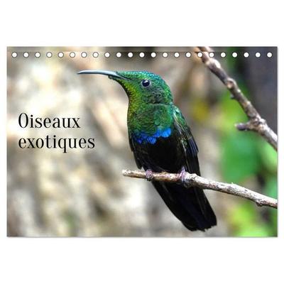 Oiseaux exotiques (Calendrier de bureau 2027 DIN A5 vertical), CALVENDO calendrier mensuel
