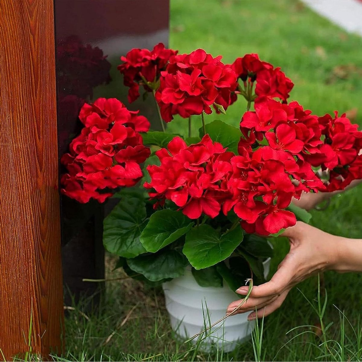 Kunstbloemen Set Rood Zijde Geraniums 30 cm Hoog