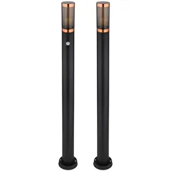 Standleuchte dimmbar LED Stehleuchte Außen mit Bewegungsmelder Garten Edelstahl rauch kupfer schwarz, App-Steuerung, Smart RGB LED 10W 806lm, DxH 7,6x110 cm, 2er Set