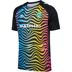 hummel SV Werder Bremen Torwarttrikot 2024/25 7995 - multi colour L