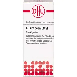 Allium Cepa Lm Vi 5 G