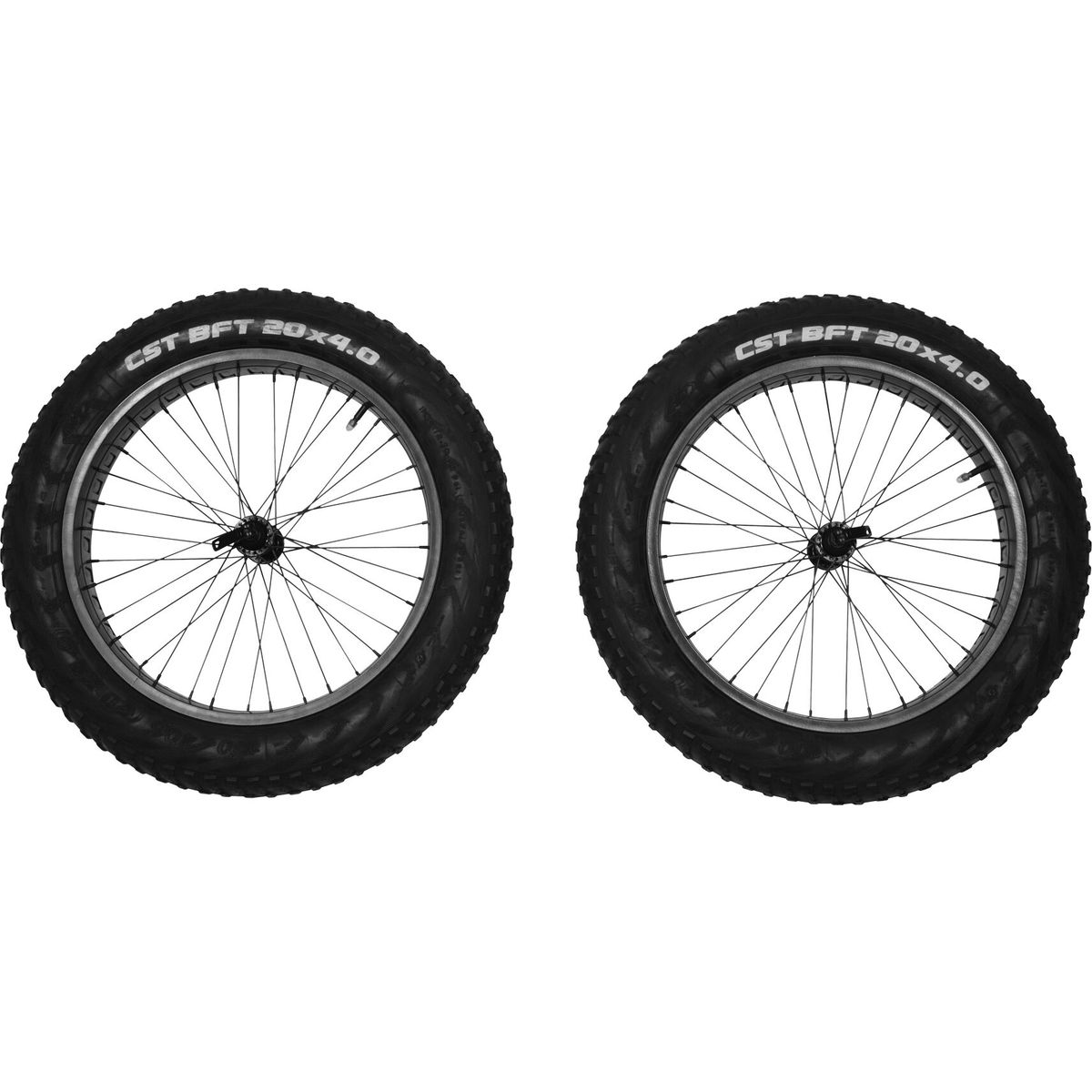 Thule Reacha 20" Fat Tire Wheel set neutral (10101415-10101415)