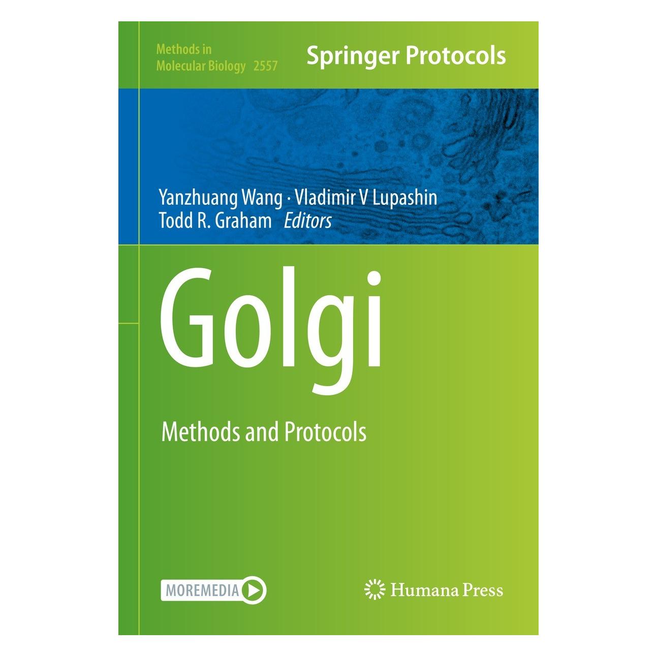 Springer Golgi (Englisch, Hardcover, Todd R. Graham, Vladimir V Lupashin, Yanzhuang Wang) (9781071626382)