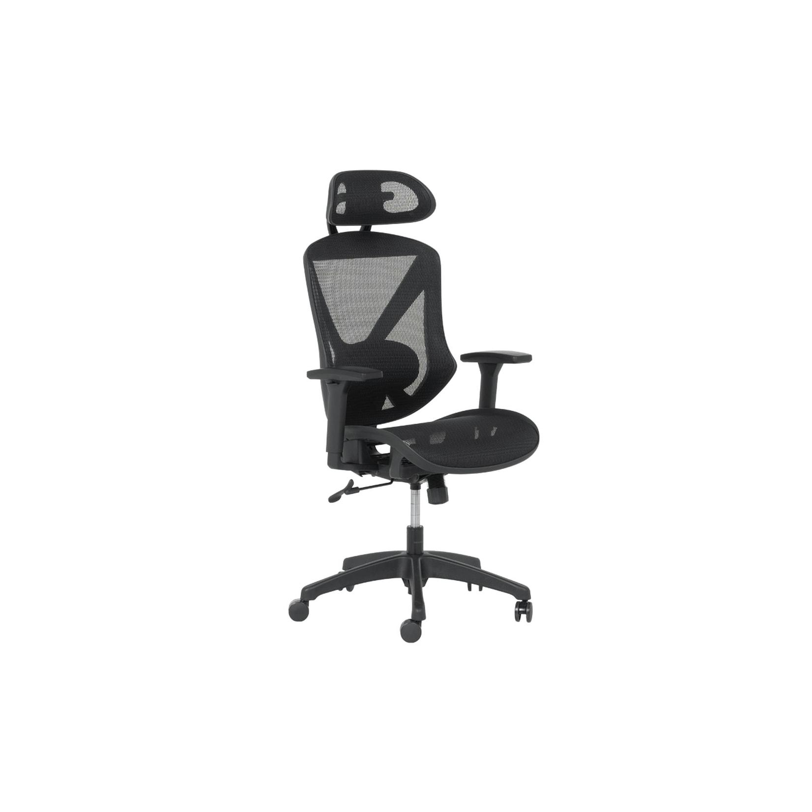 Carmen CAEN Ergonomischer Bürostuhl mit Netzrücken, Kopfstütze, Lordosenstütze und 1D-Armlehnen – Schwarz