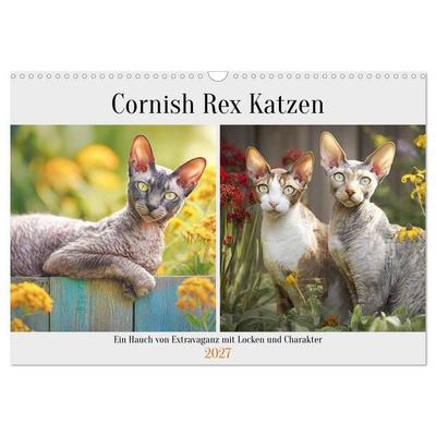 Cornish Rex Katzen. Ein Hauch von Extravaganz mit Locken und Charakter (Wandkalender 2027 DIN A3 quer), CALVENDO Monatskalender