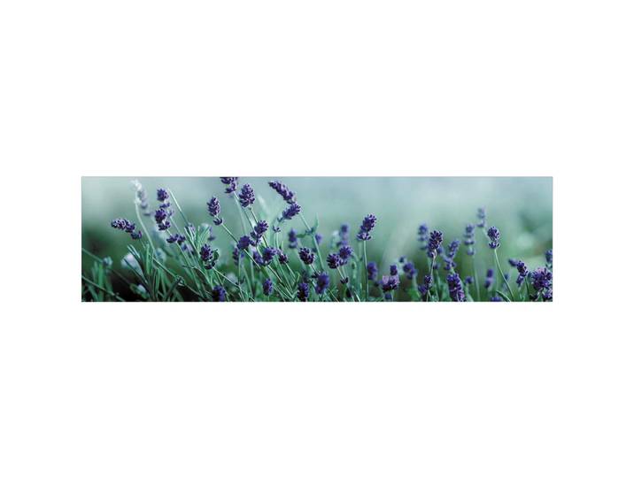 Fani Küchenrückwand Smart - Glas, Türkis, Flieder, Metall, Kunststoff, Lavendel, 240x63.7x0.6 cm, mit Dekor, Spritzschutz, individuell zuschneidbar, Echtglas-Optik, eventuelle Anpassungen vor Ort nötig, Küchen, Küchenausstattung, Küchenrückwände