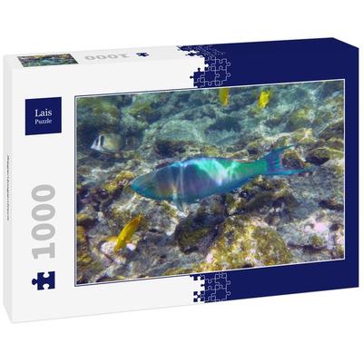 Lais Puzzle Regenbogenfisch 1000 Teile