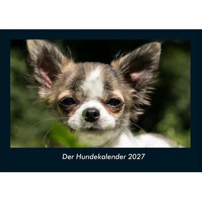 Der Hundekalender 2027 Fotokalender DIN A4