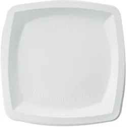 50x BIO Teller quadratisch aus Zuckerrohr Weiss 26x26 cm Zuckerrohrteller Einwegteller Einmalteller