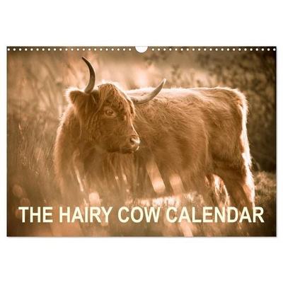 The Hairy Cow Calendar (Wall Calendar 2027 DIN A3 landscape), CALVENDO 12 Month Wall Calendar