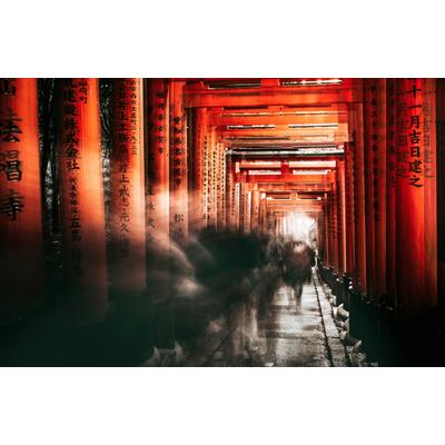 Fototapete PAPERMOON "Photo-Art CARMINE CHIRIACO, FUSHIMI-INARI-SCHREIN", bunt, B:5m L:2,8m, Vlies, Tapeten