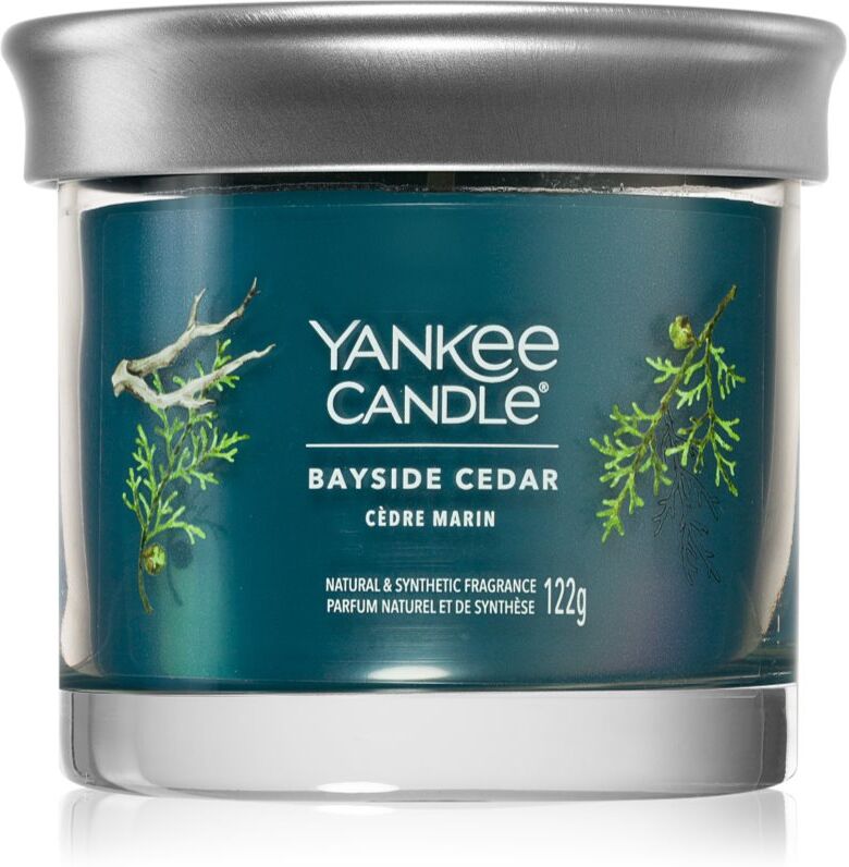 Yankee Candle Bayside Cedar scented candle 122 g