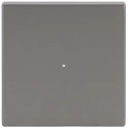 Busch-Jaeger 6230-10-866 Wippe 1-fach, ohne Bedruckung 2CKA006220A0413 623010866