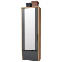 Dieter Knoll Hänge-Spiegelgarderobenschrank ARCO TREND - B/H/T ca. 65.00x187.00x31.00