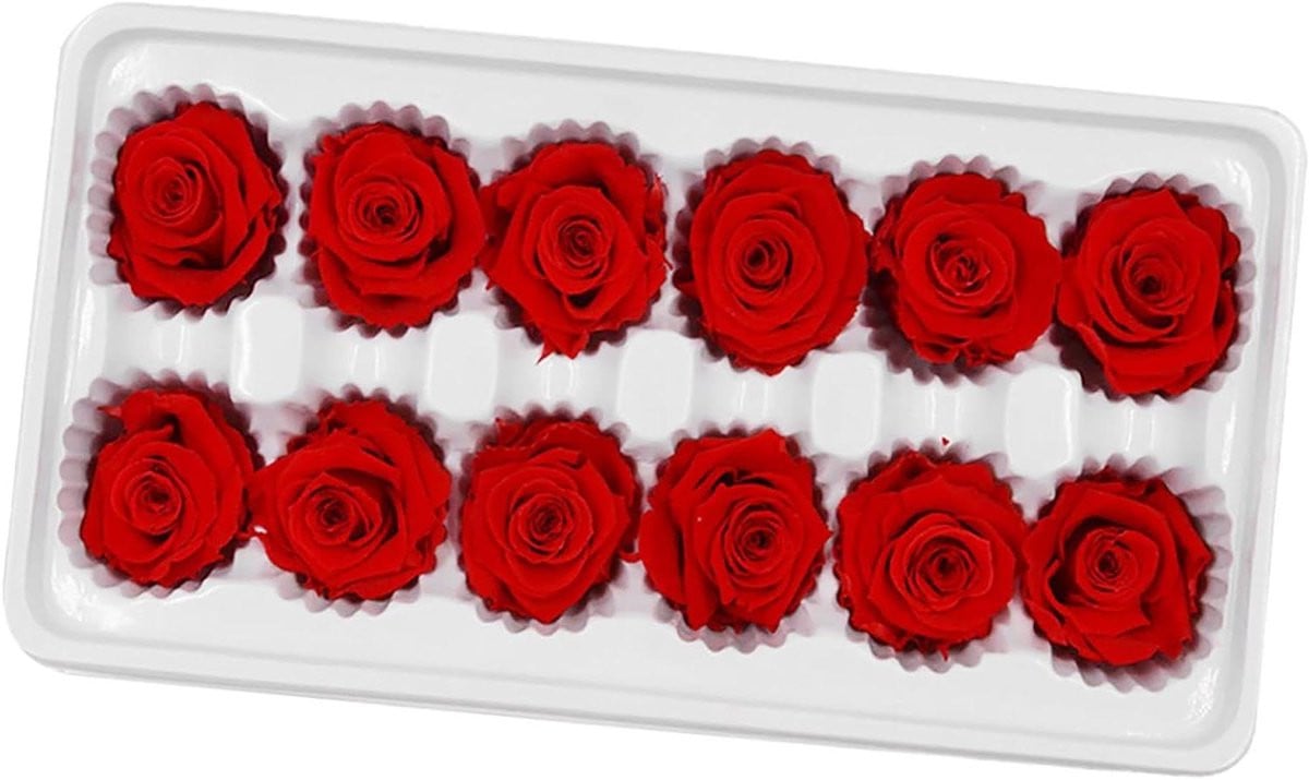 12 stuks Eeuwige Rozen - Onsterfelijke Bloemen voor Bruiloft Decoratie - Rood
