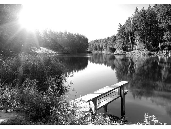 Fototapete PAPERMOON Wald mir Fluss Schwarz & Weiss , schwarz (schwarz, weiß), B:2,5m L:1,86m, Vlies, Tapeten, Fototapete