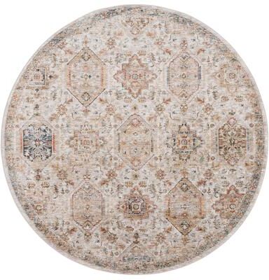 SAFAVIEH Silverado Ermenhild Vintage Oriental Rug