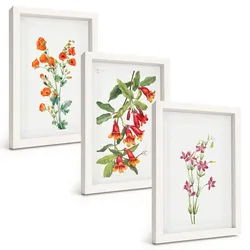 BILDER SET 3er Set - 20x30 cm Weißer Rahmen - Vintage-Retro-Blumenmalerei