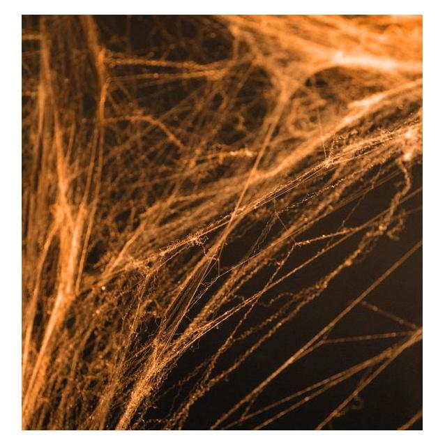 Partydeco Oranges Spinnennetz (60g) (1 Stk.) (PH60-005)