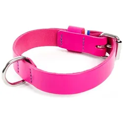 Martin Sellier 499 (35, 41, Hund, Allgemein, Spazieren), Halsband + Leine